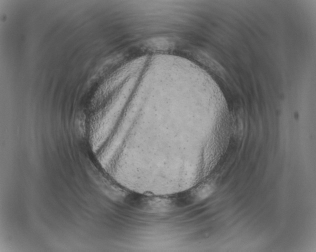 X0000067330718200604131700