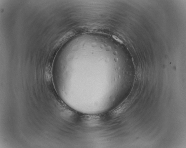 X0000067330719200604131700