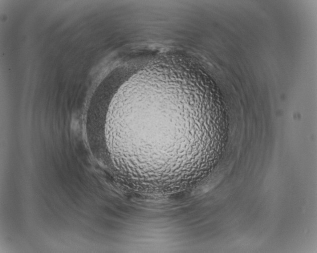 X0000067330720200604131700