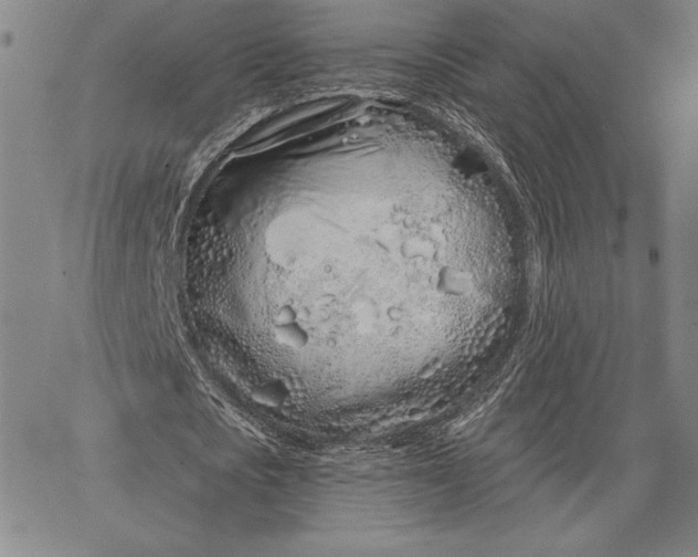 X0000067330721200604131700