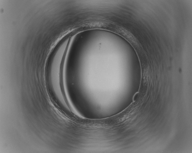 X0000067330722200604131700