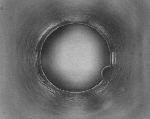 X0000067330723200604131700