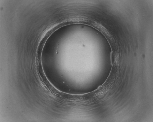 X0000067330724200604131700