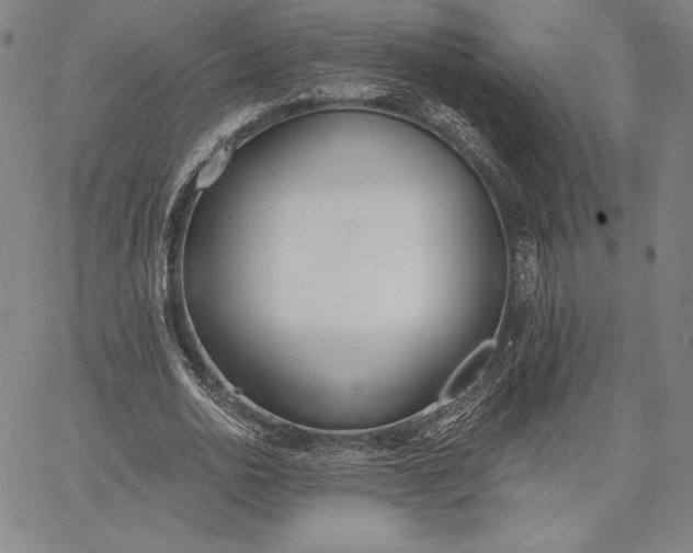 X0000067330726200604131700