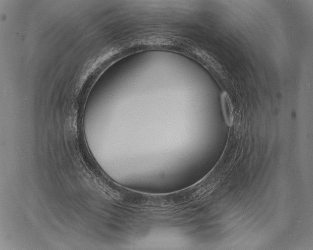 X0000067330727200604131700