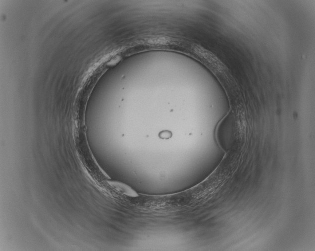 X0000067330728200604131700