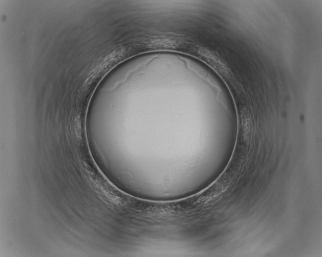 X0000067330729200604131700