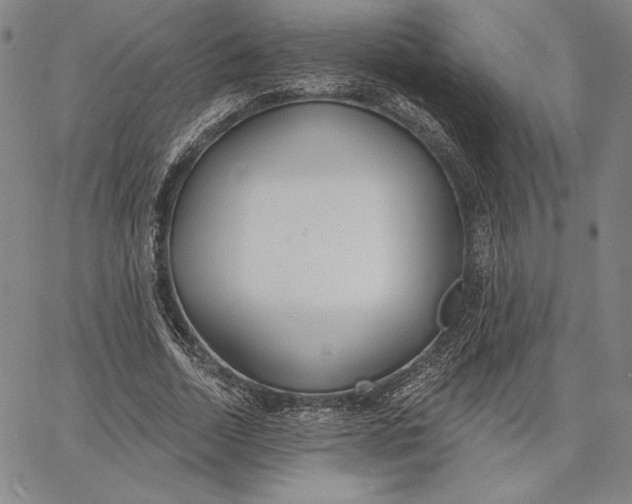 X0000067330730200604131700