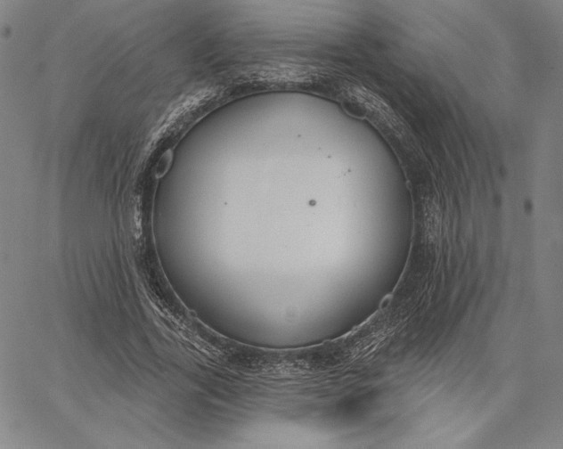 X0000067330731200604131700