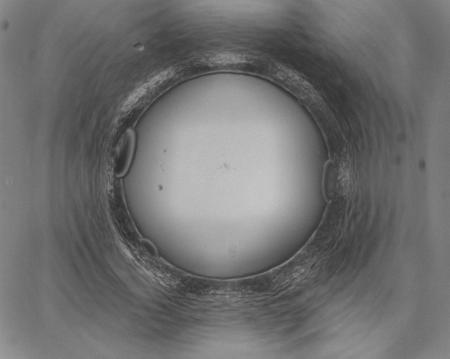 X0000067330732200604131700