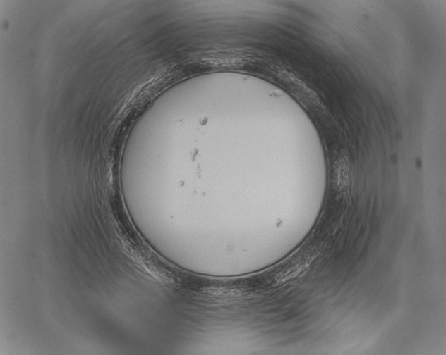 X0000067330733200604131700