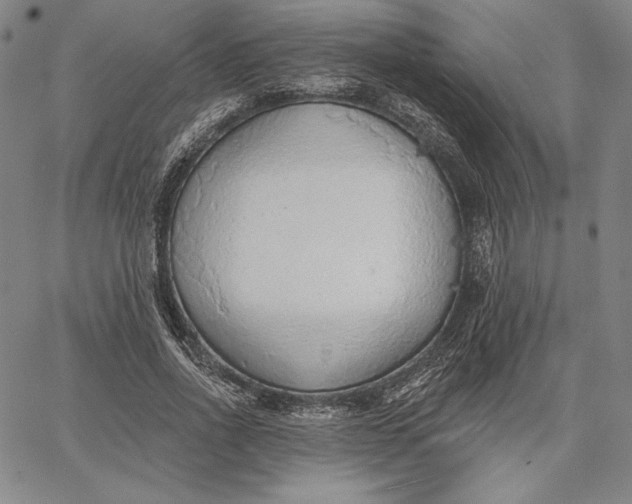 X0000067330734200604131700