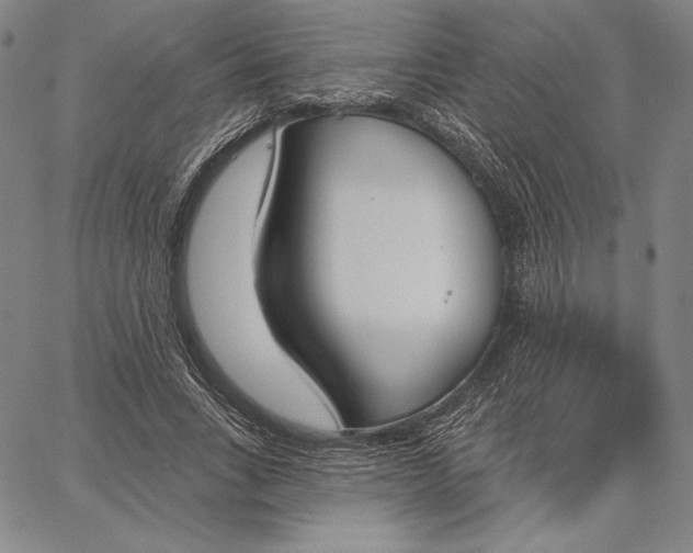 X0000067330735200604131700