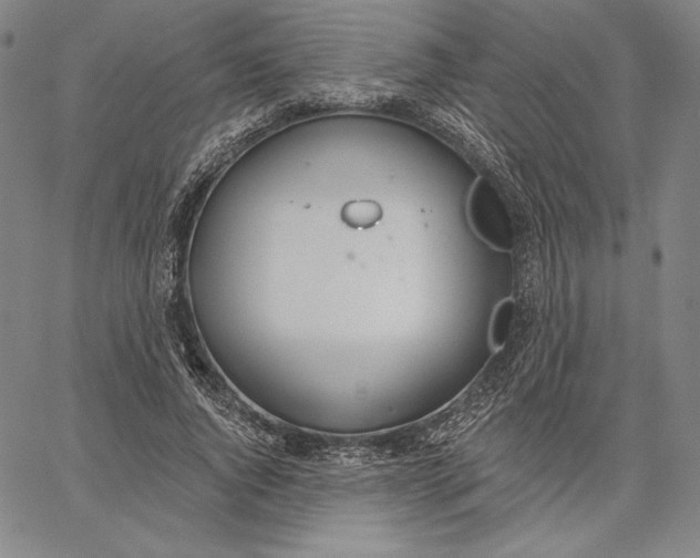 X0000067330736200604131700