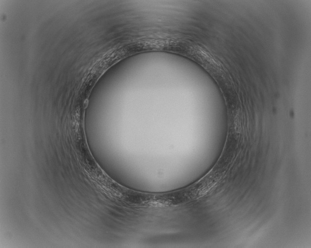 X0000067330737200604131700