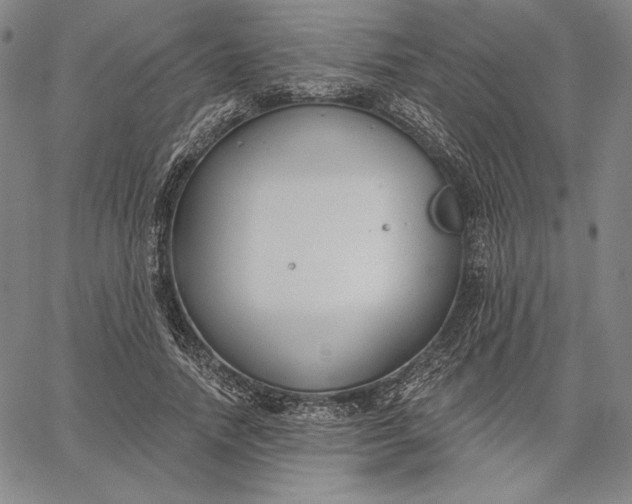 X0000067330738200604131700