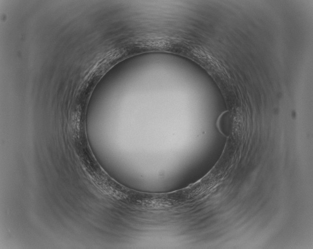 X0000067330739200604131700