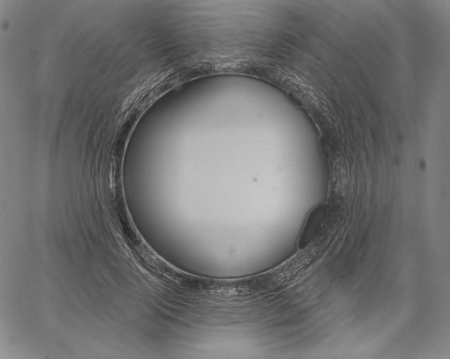 X0000067330740200604131700