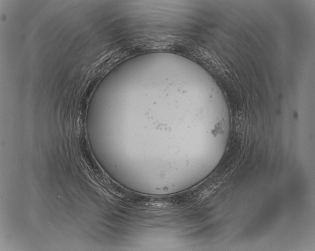 X0000067330741200604131700