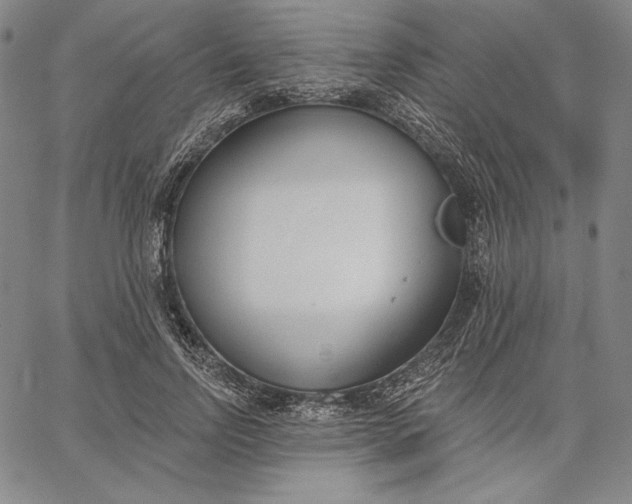 X0000067330742200604131700