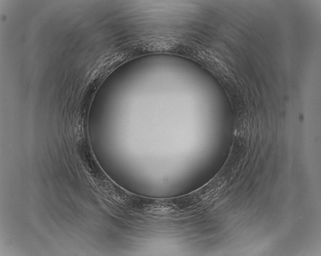 X0000067330743200604131700