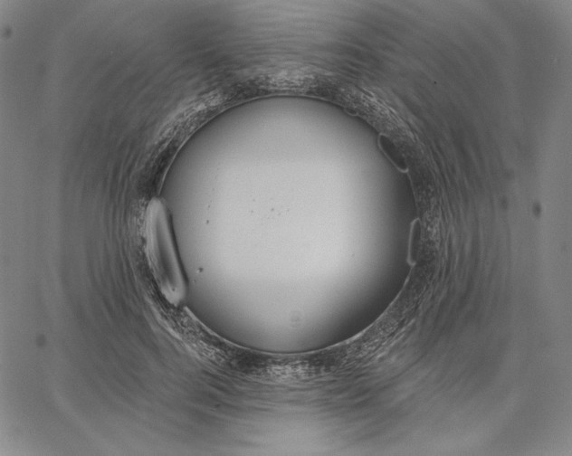 X0000067330744200604131700