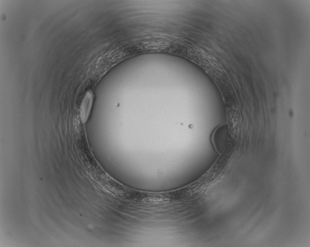 X0000067330745200604131700