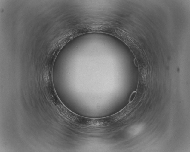 X0000067330746200604131700