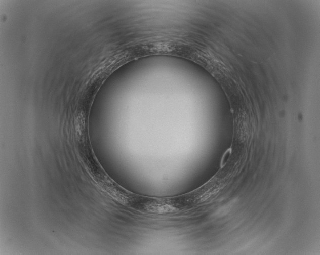 X0000067330747200604131700