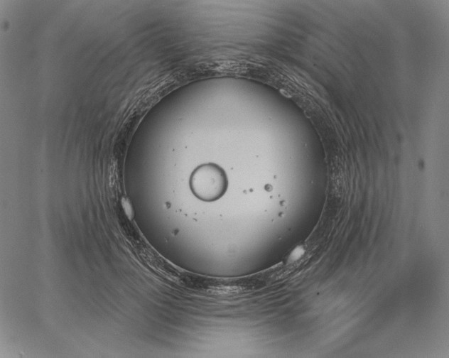 X0000067330748200604131700