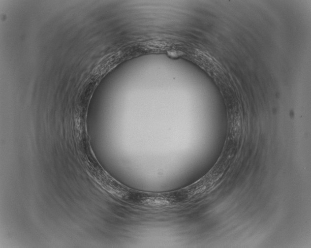 X0000067330749200604131700