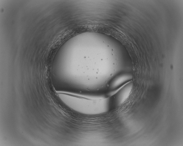 X0000067330750200604131700