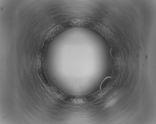 X0000067330751200604131700