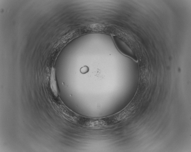 X0000067330752200604131700