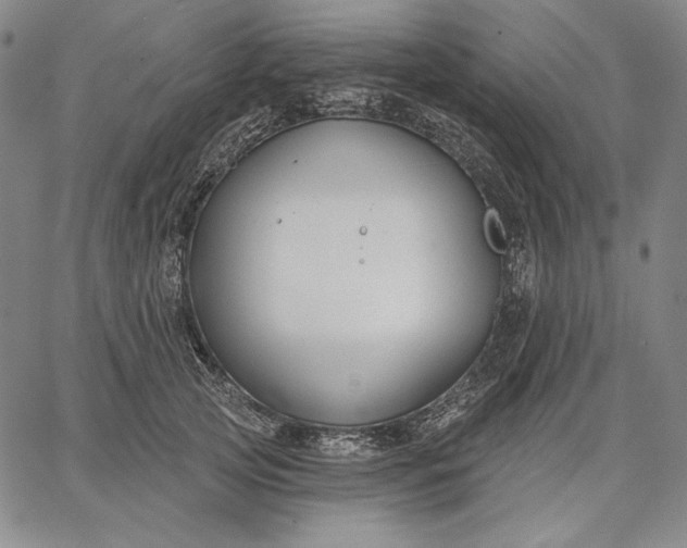 X0000067330753200604131700