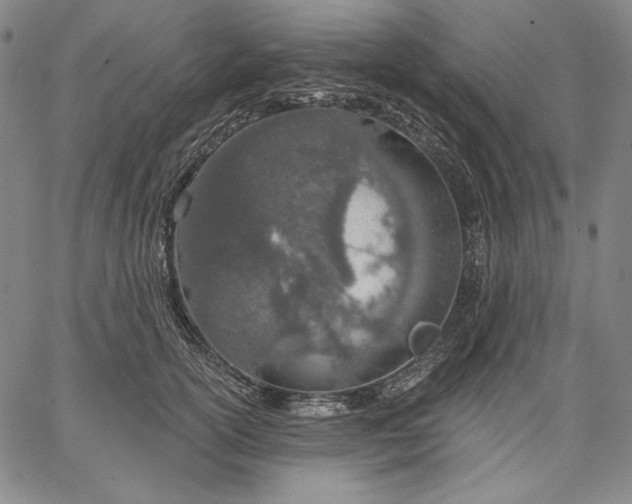 X0000067330754200604131700