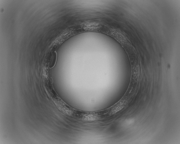 X0000067330755200604131700