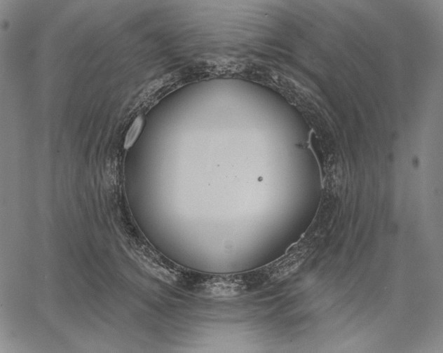 X0000067330756200604131700