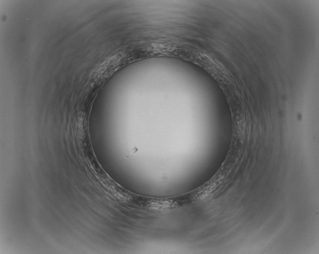 X0000067330757200604131700