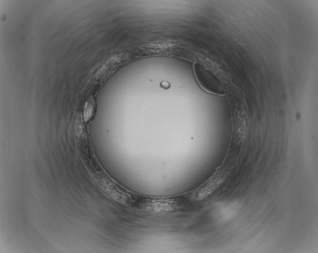 X0000067330758200604131700