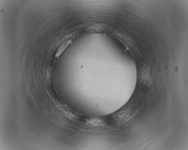 X0000067330759200604131700