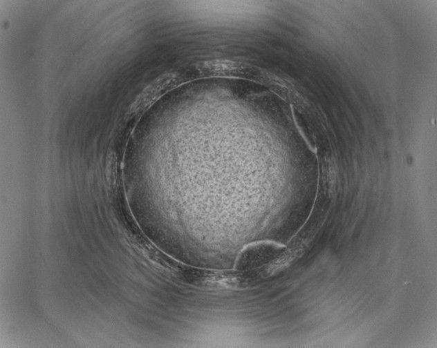 X0000067330760200604131700