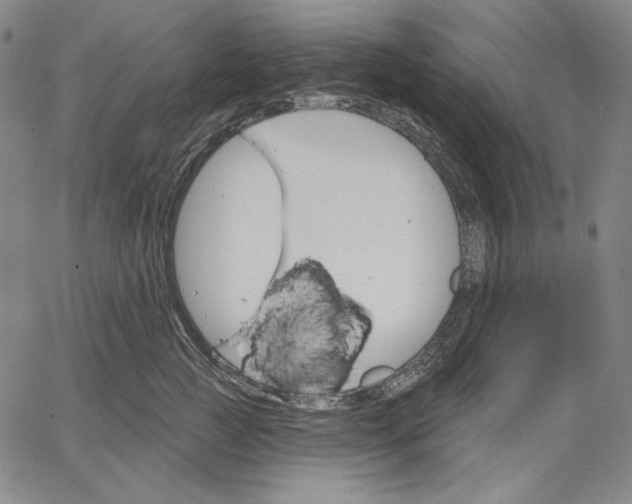 X0000067330761200604131700