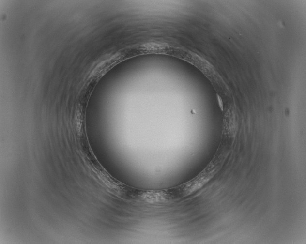 X0000067330762200604131700