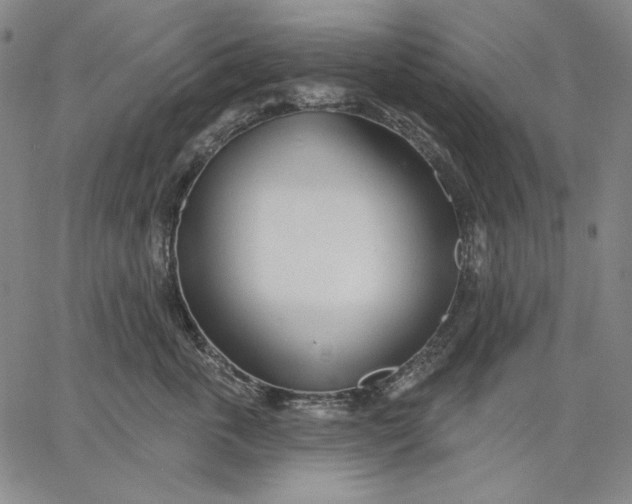 X0000067330763200604131700