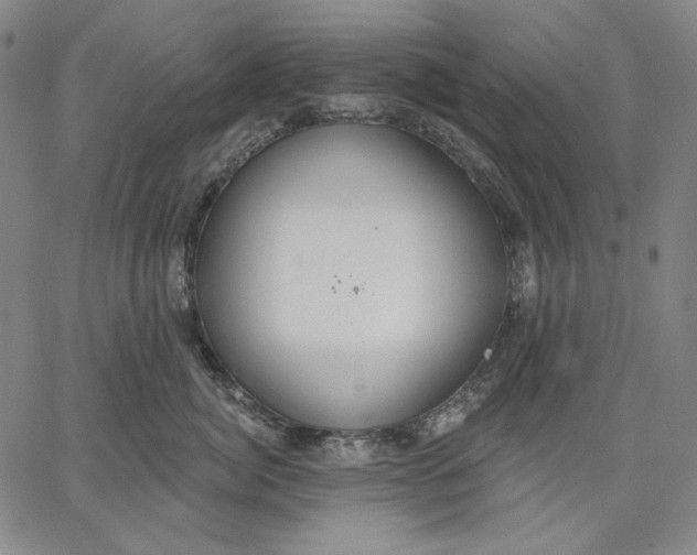 X0000067330764200604131700