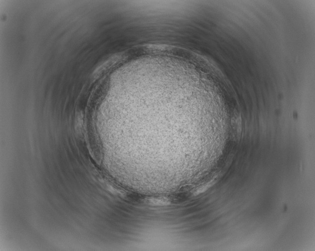 X0000067330765200604131700