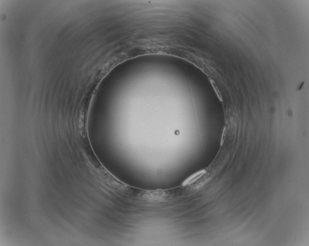 X0000067330767200604131700