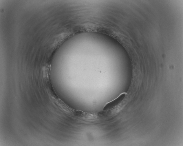 X0000067330768200604131700