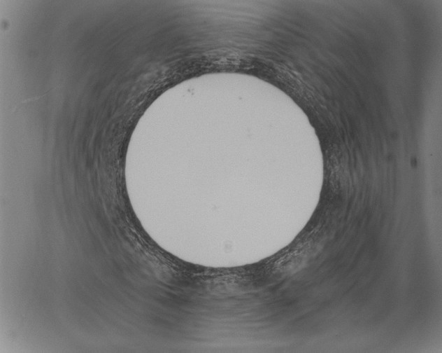 X0000067330769200604131700